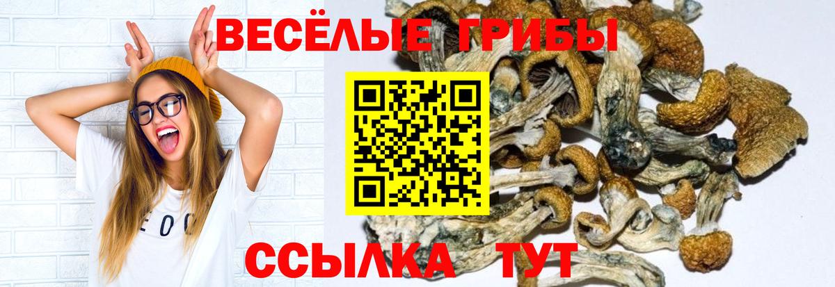 Галлюциногенные грибы прущие грибы Волгоград