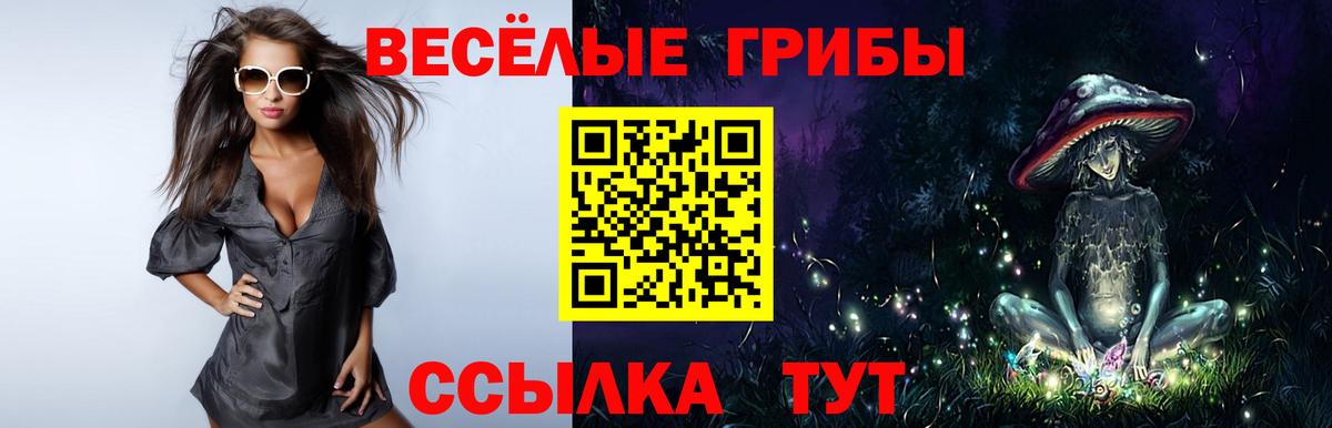 купить закладку  Галлюциногенные грибы MAGIC MUSHROOMS  Вход с VPN  Волгоград 